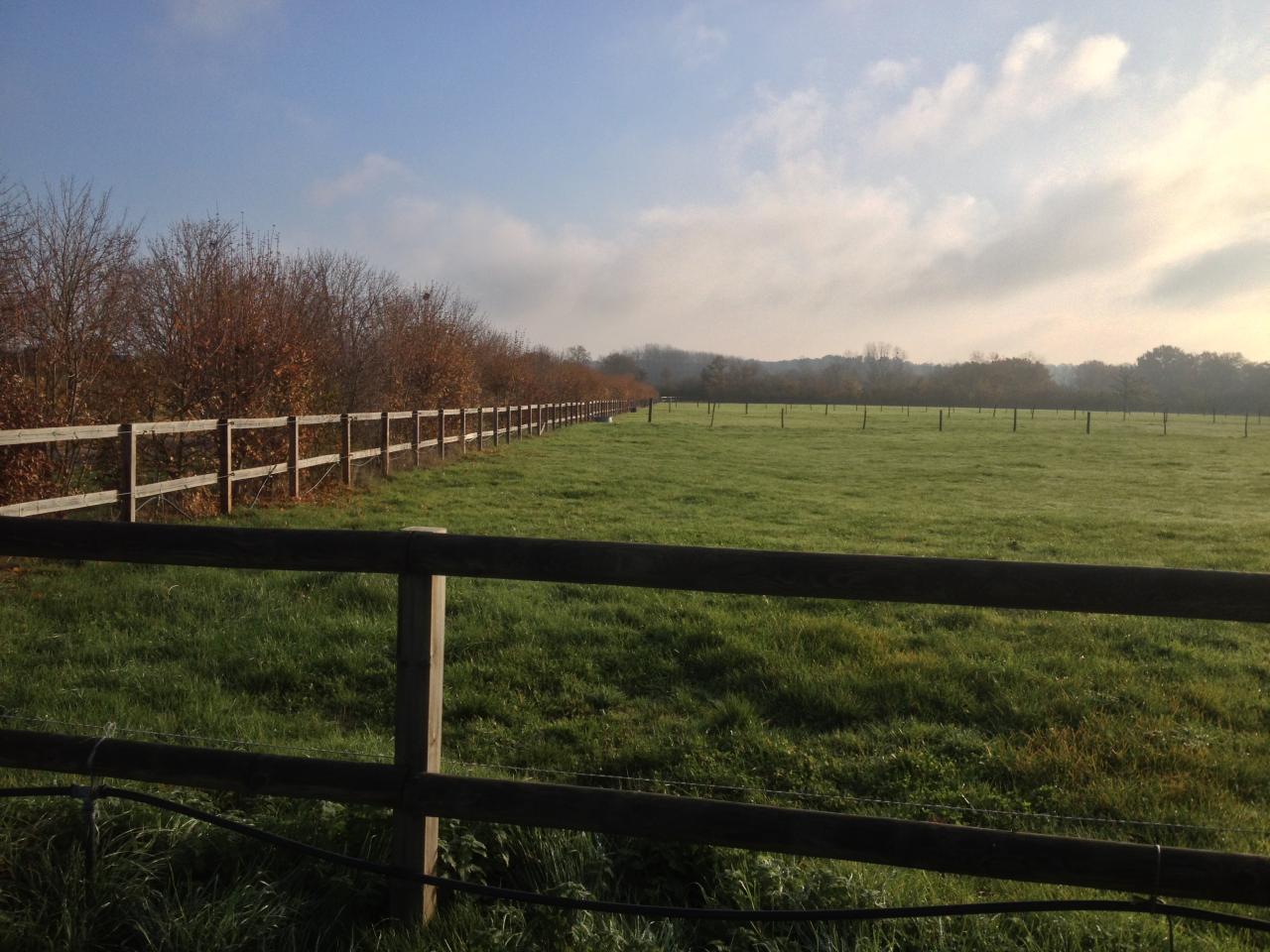 le haras en automne